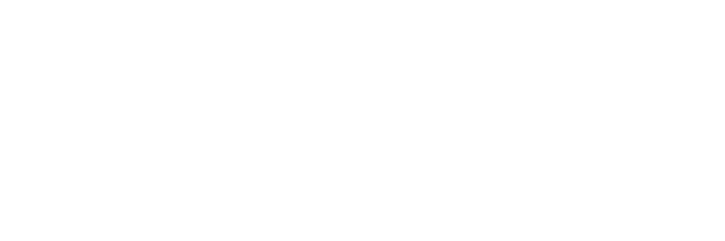 BTM Logo breit Born To Move Fitness