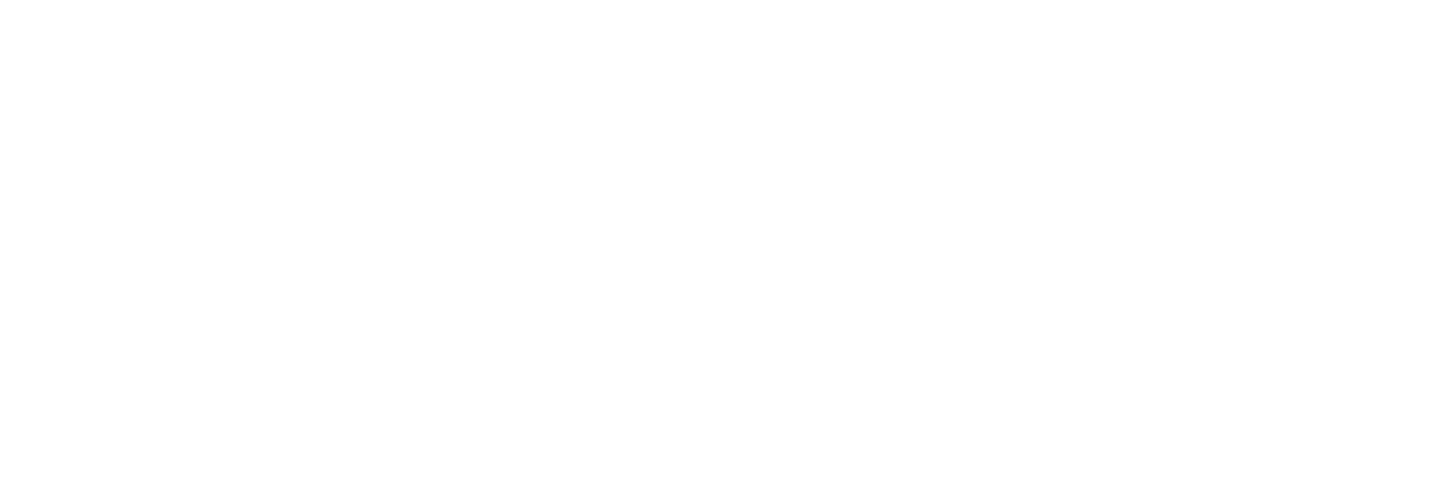 BTM Logo breit Born To Move Fitness